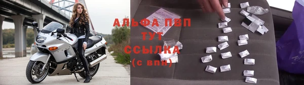 гашик Пересвет