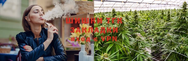 амф Осинники