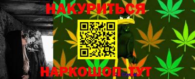 сатива Кинель