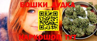 сатива Кинель