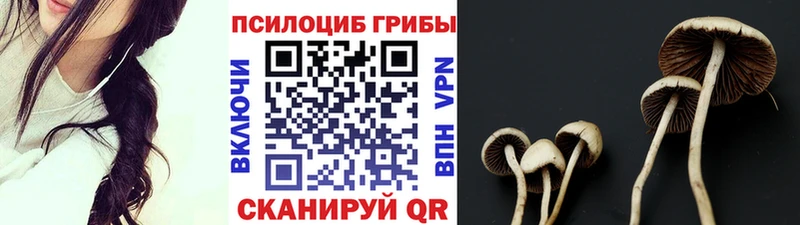цена   Россошь  Галлюциногенные грибы ЛСД 