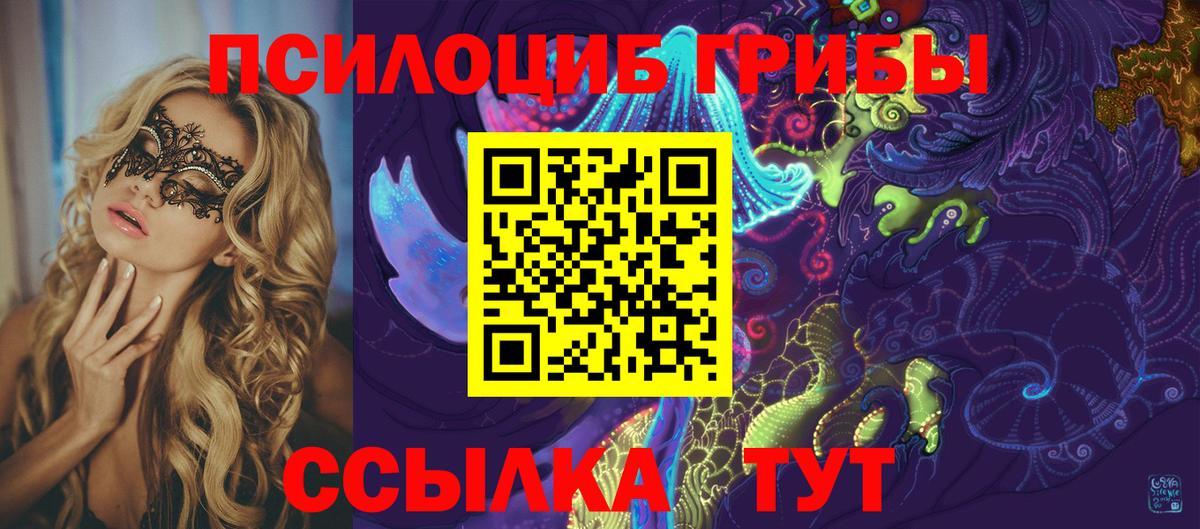Псилоцибиновые грибы Psilocybine cubensis  Россошь 